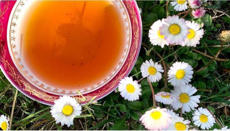 Le thé noir efficace pour maigrir - Saveur-thé.fr votre Boutique de vente  en ligne de thé